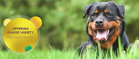 Photo: Coalfire Rottweilers